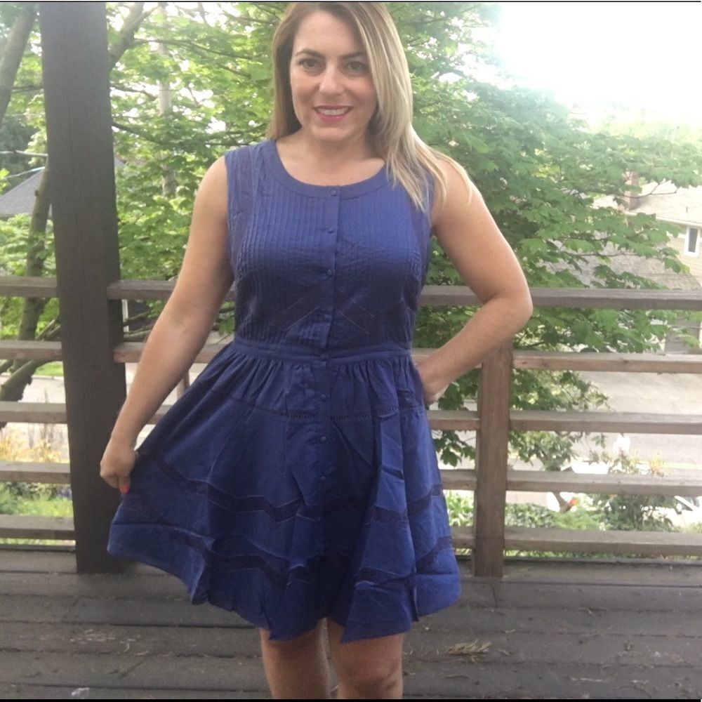 Easley Indigo Skater Dress